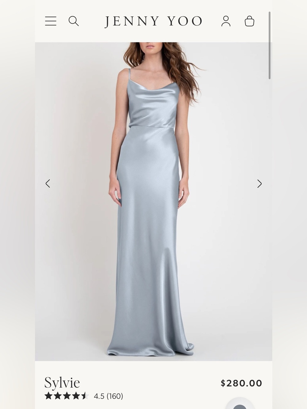 Jenny Yoo Sylvie Cowl Neck Slip Gown in Light Silver